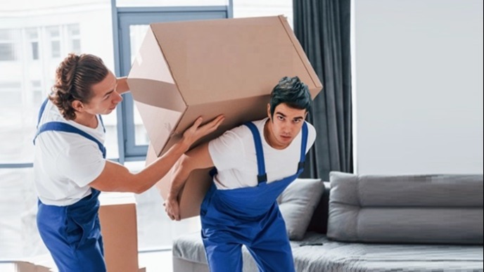 Asansörlü Taşımacılık Nakliye