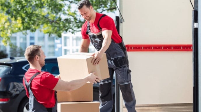 Profesyonel Nakliye Elemanlar